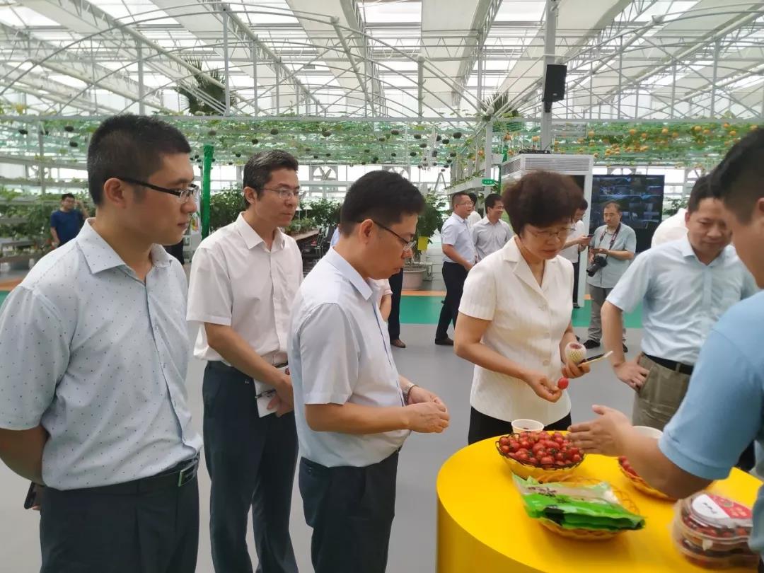 山東省大數(shù)據(jù)局黨組書記、局長馬越男視察環(huán)球軟件建設(shè)的智慧農(nóng)業(yè)園區(qū)