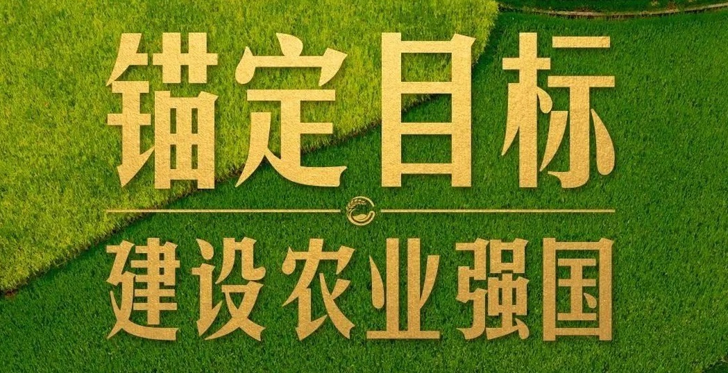 點(diǎn)燃現(xiàn)代農(nóng)業(yè)創(chuàng)新引擎，釋放農(nóng)業(yè)領(lǐng)域新質(zhì)生產(chǎn)力